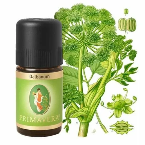 Galbanum organic essential oil from Primavera | Angeldar