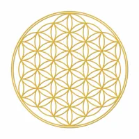 blume des lebens blume des lebens