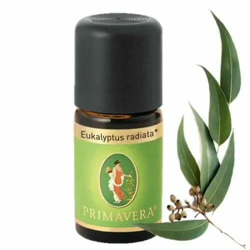 Eucalyptus radiata bio essential oil primavera