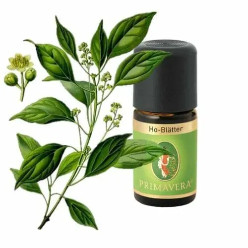 ho leaves essential oil primavera