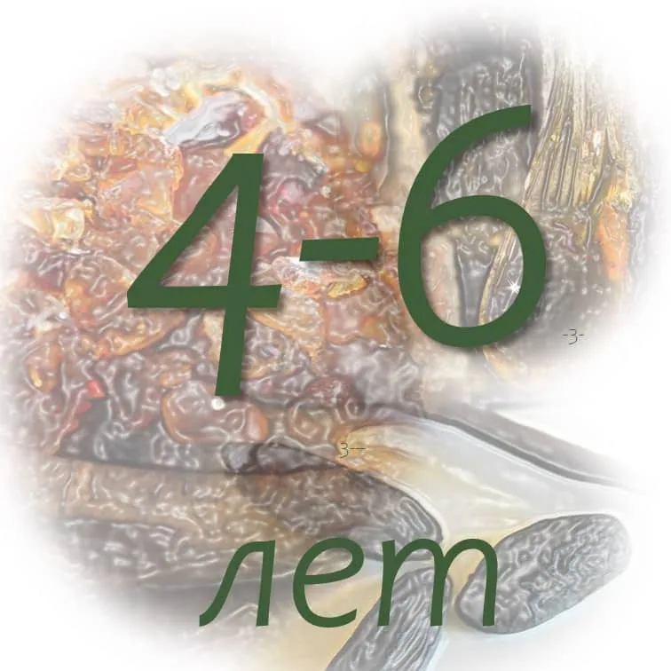 Срок хранения эфирных масел 14 срок хранения эфирного масла ладана