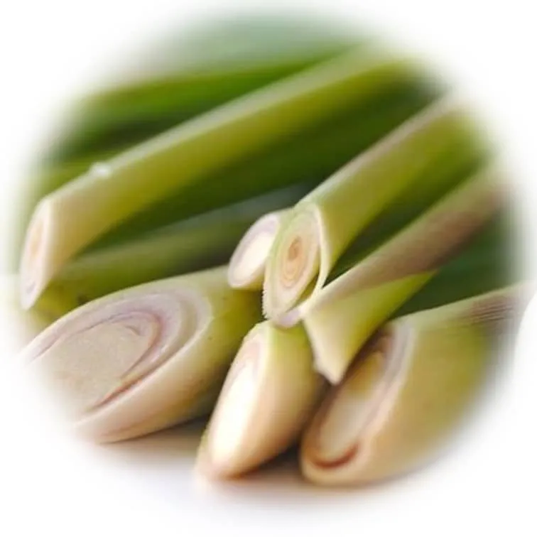 Срок хранения эфирных масел 7 srok-hranenija-jefirnogo-masla-lemongrass