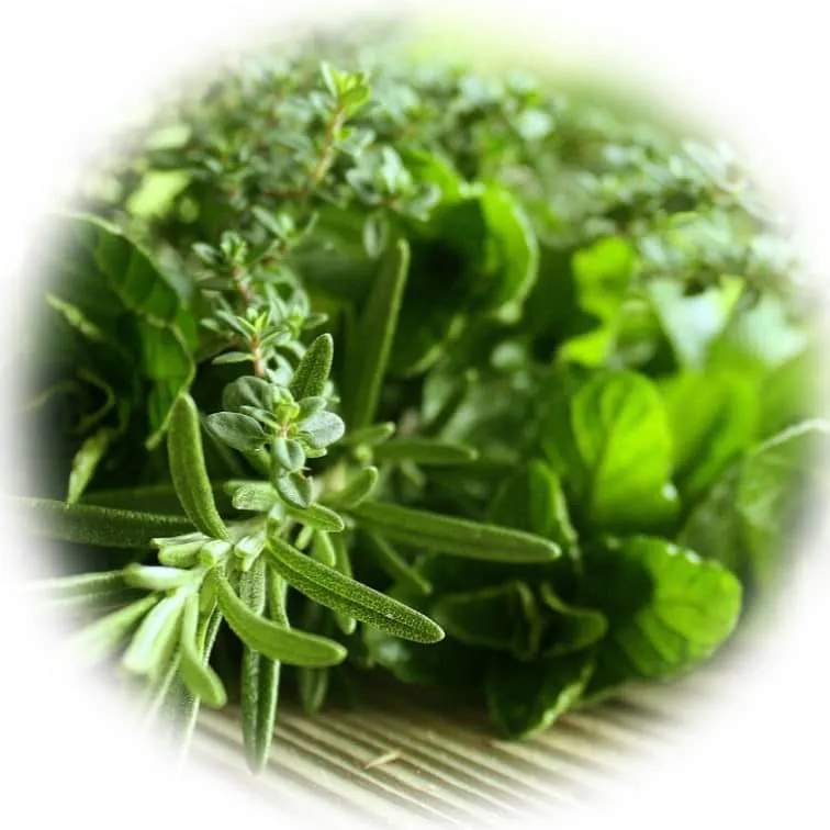 Срок хранения эфирных масел 11 срок хранения эфирного масла розмарина