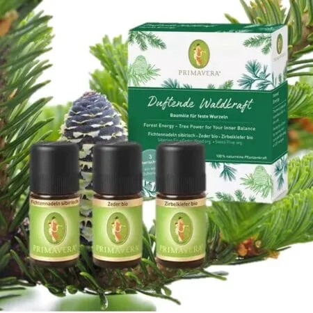 Duftende Waldkraft Set Ätherische Öle