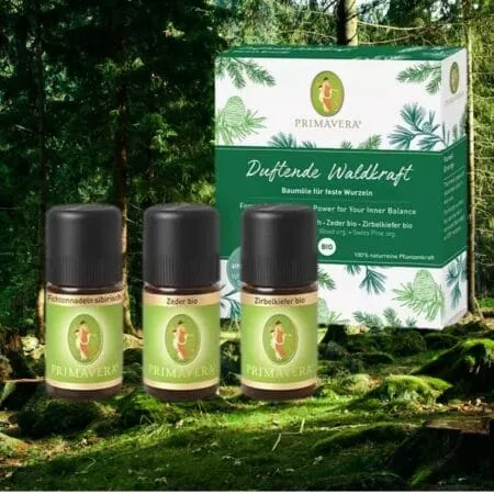 Duftende Waldkraft Set Ätherische Öle Primavera