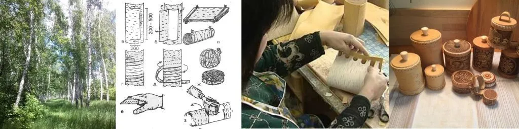 Birkenrinde- was man weiß- oder wissen sollte 1 foto birkenrinde produkte